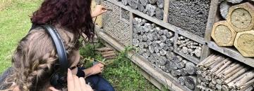 à l'écoute des larves dans l'hotel à insectes du jardin botanique du MNHN