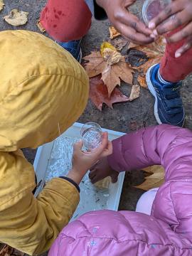 en workshop exploration de la mare avec Hélène Courvoisier