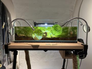 exposition la crypte d'Orsay, 2025