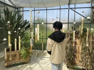 2km4, serres du campus vallée, université Paris-Saclay, 2024