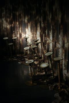 Portés par le vent, MucMA