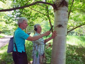 tree sound walk au jardin botanique de berlin en 2018
