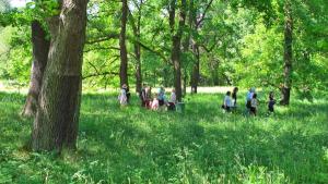 tree sound walk au jardin botanique de berlin en 2018