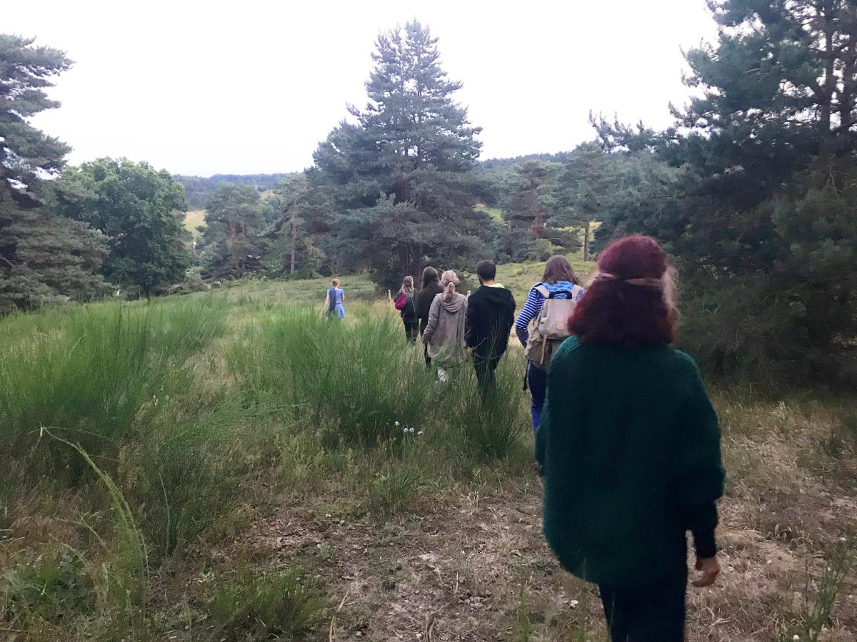 premiere performance avec du public : marcher jusqu'à l'arbre