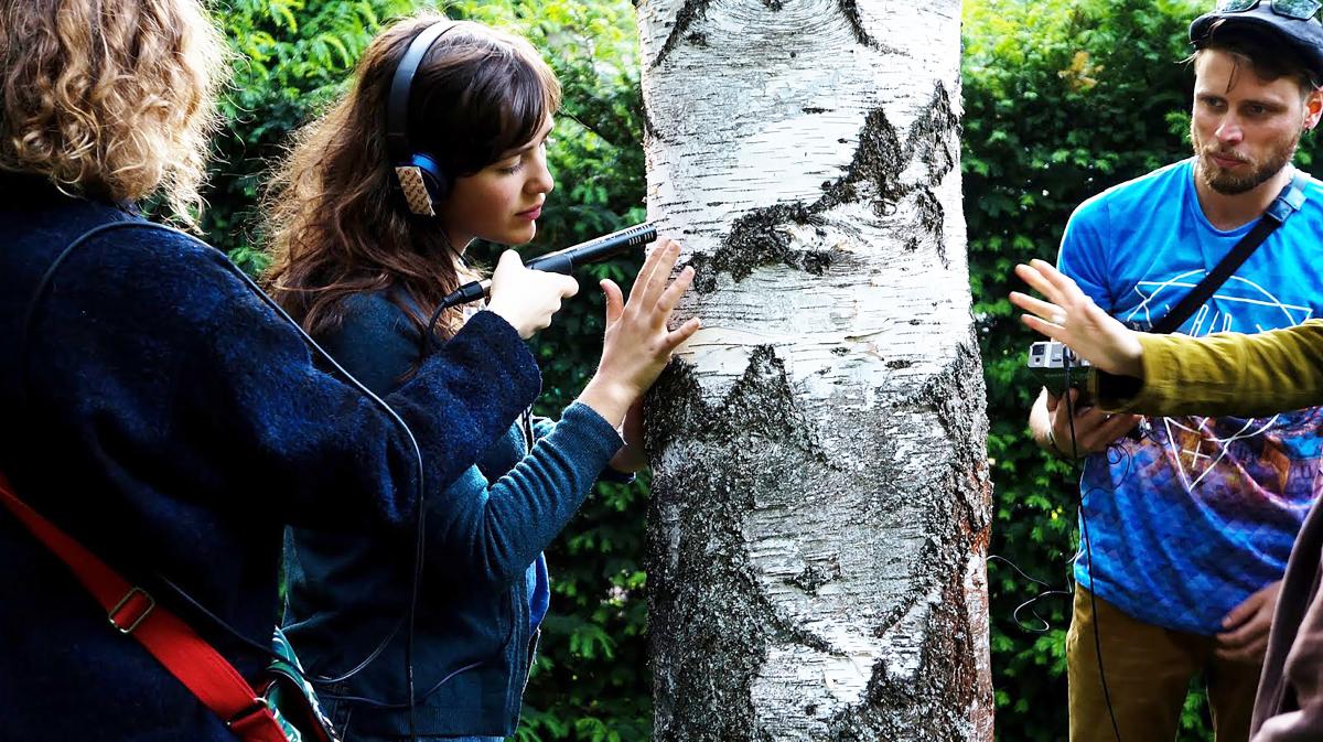 tree sound walk à wedding en 2019, photo onokee