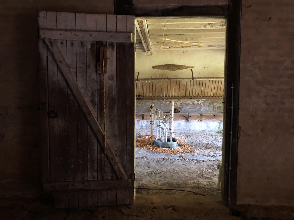 Berkanan dans la grange pyramidale du Moulin Riche de Concressault en 2022