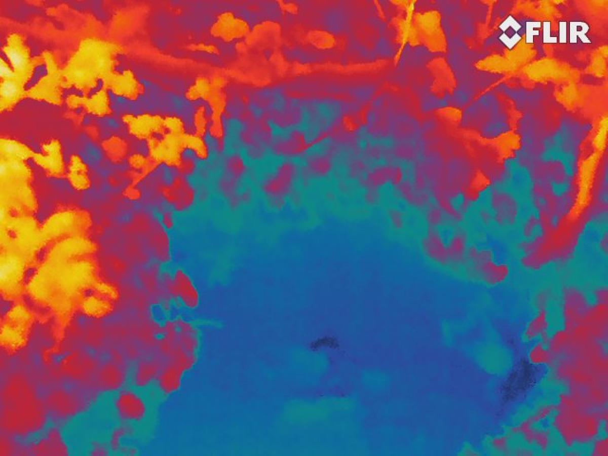 coupe de sol en caméra thermique sur la station de Paimpont en 2016