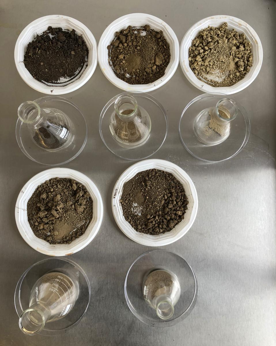 chromatographie de sols : dilutions