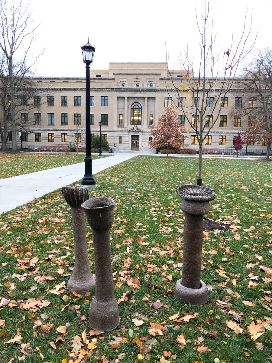 écouter la terre de Cornell