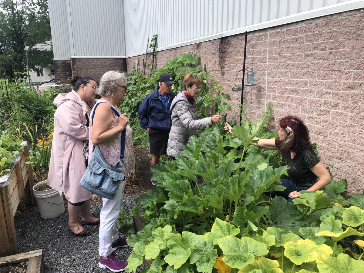 jardinage, jardin communautaire, Drummondville