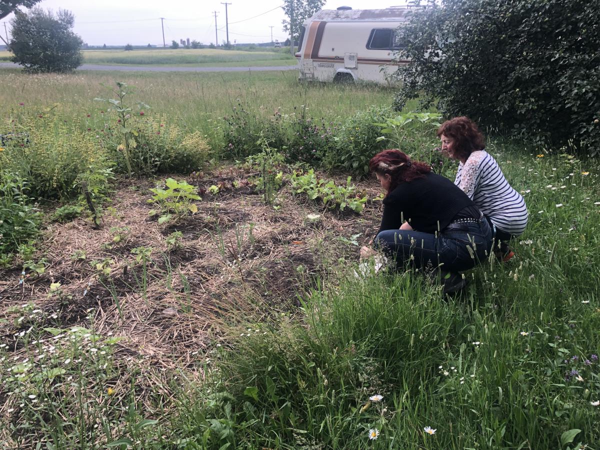 Potager bio chez une particulière, Ste-Brigitte-des-Saults