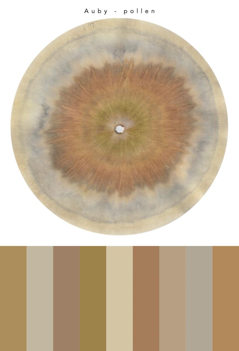 Aréage, chromatographie de pollen, Auby