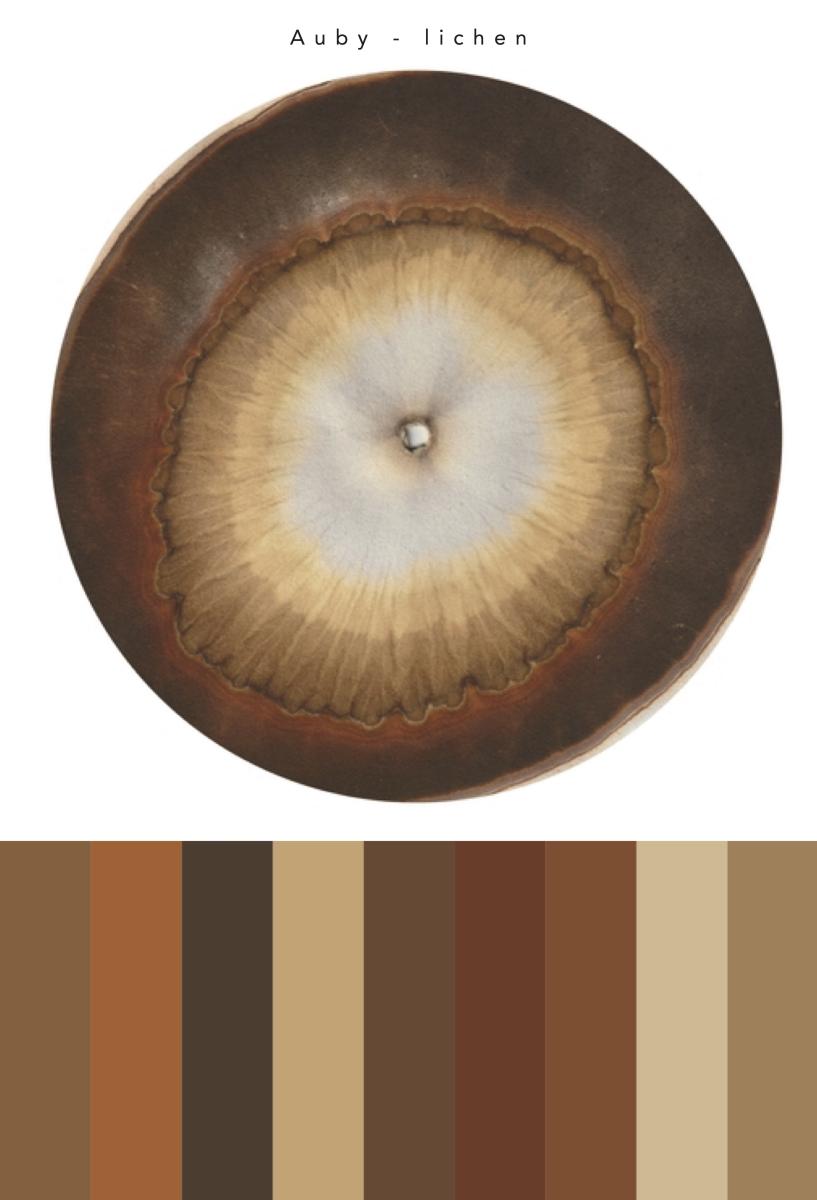 Aréage, chromatographie de lichen Auby