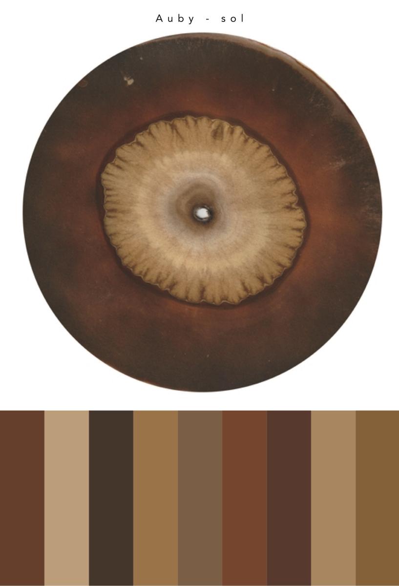 Aréage, chromatographie de sol Auby