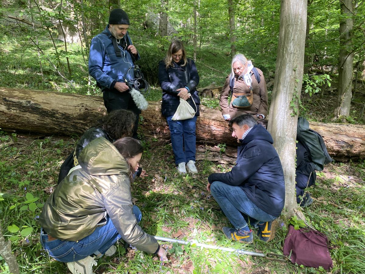 rencontre publique dans la forêt