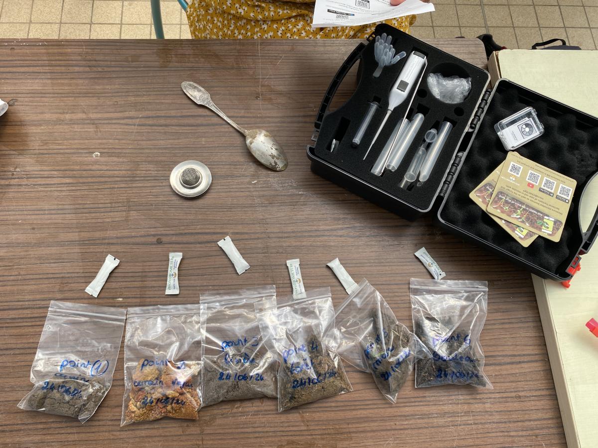 étude des sols du transect avec Gaëlle Vincent