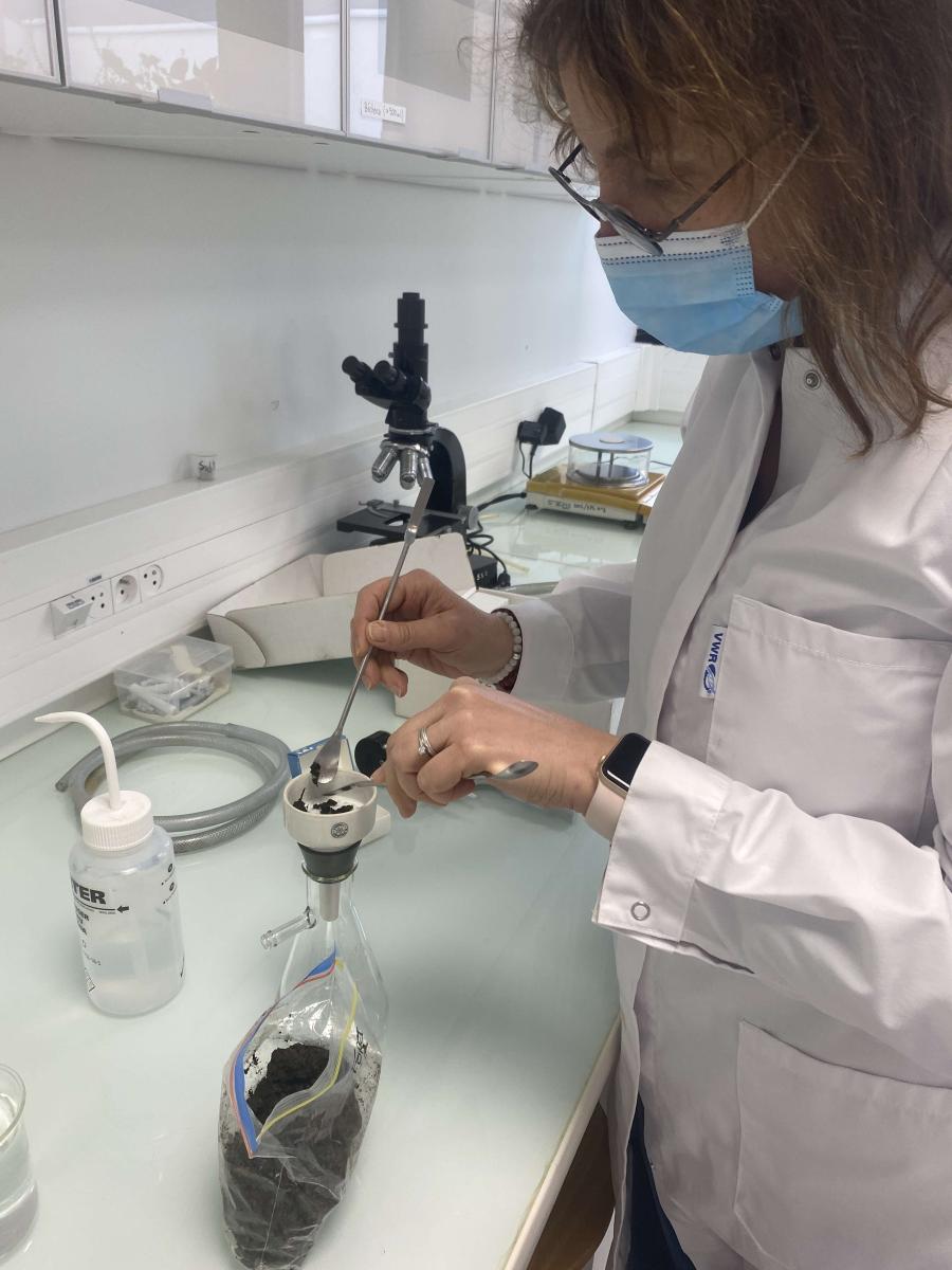 étude des sols du transect avec Gaëlle Vincent