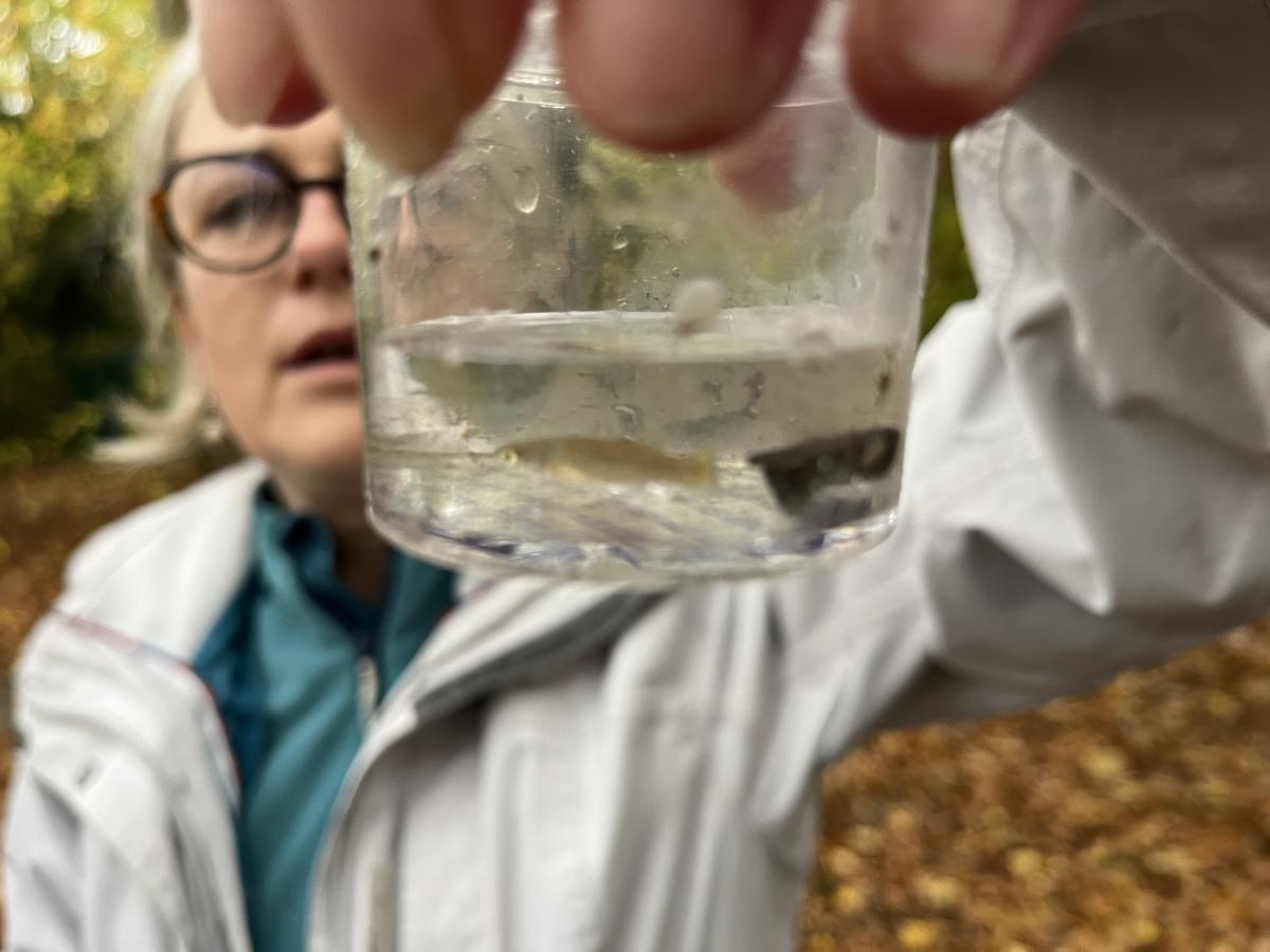 Hélène pendant l'atelier mare