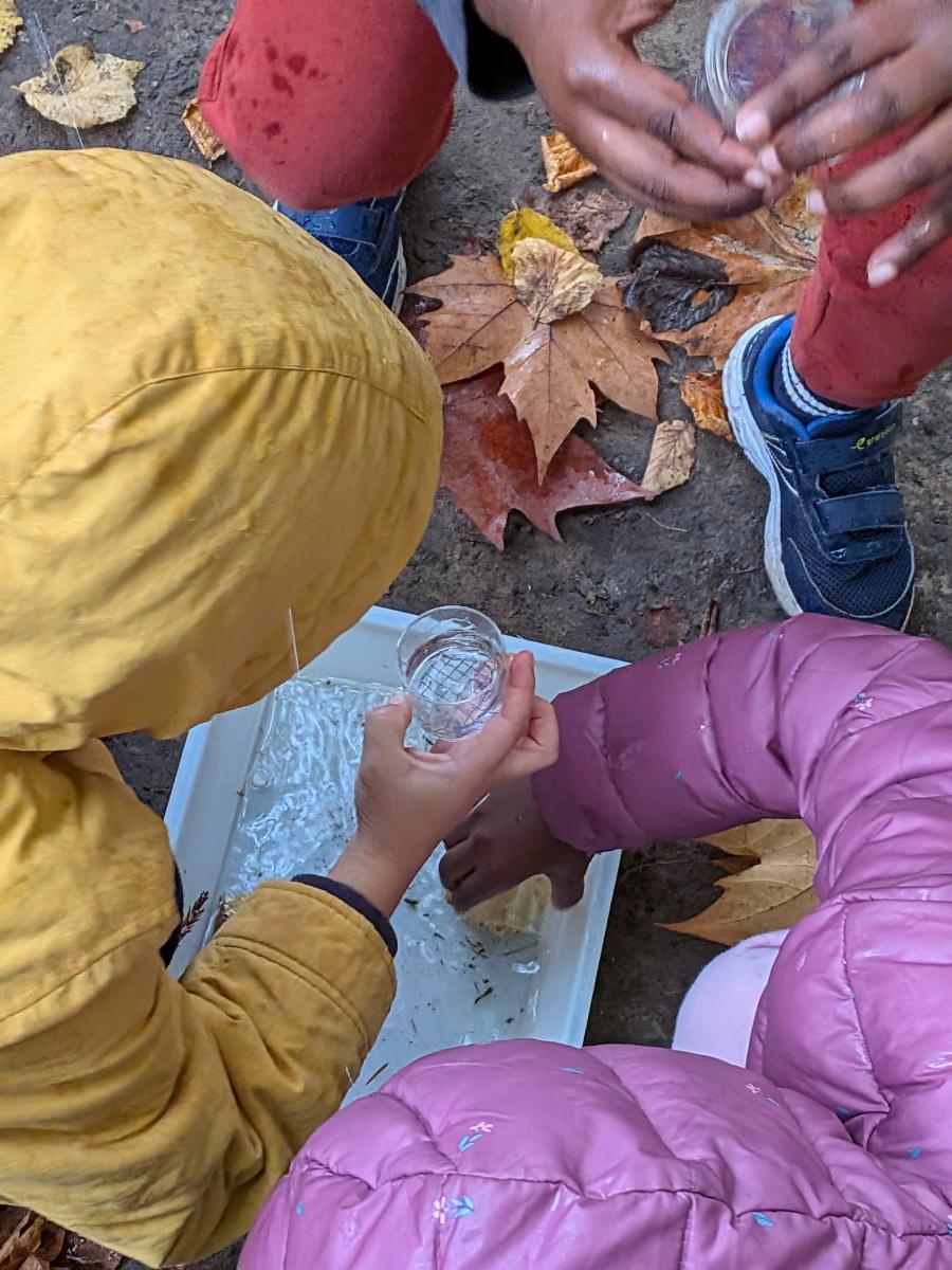 en workshop exploration de la mare avec Hélène Courvoisier
