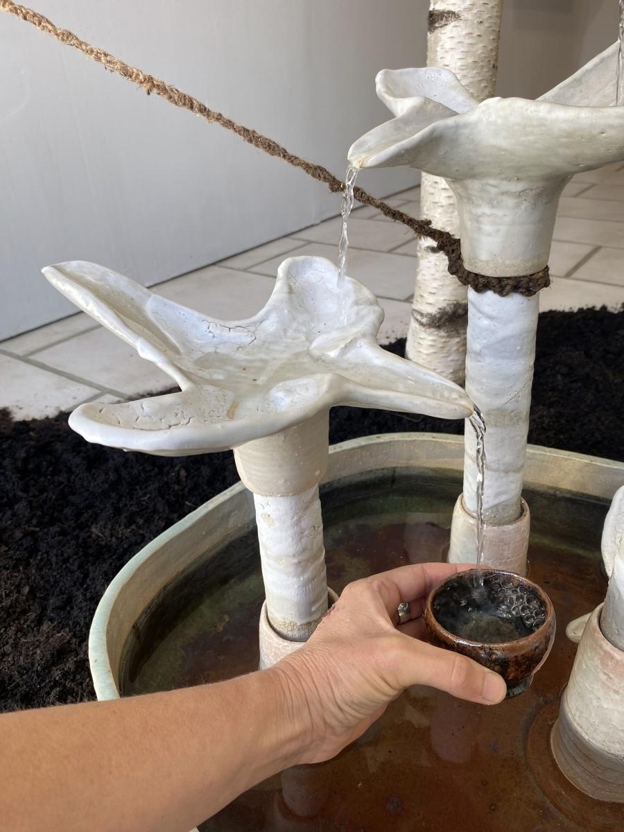 exposition galerie du philosophe, Carla Bayle, dégustation de sève