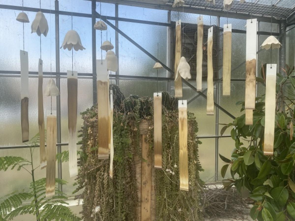 2km4, serres du campus vallée, université Paris-Saclay, 2024