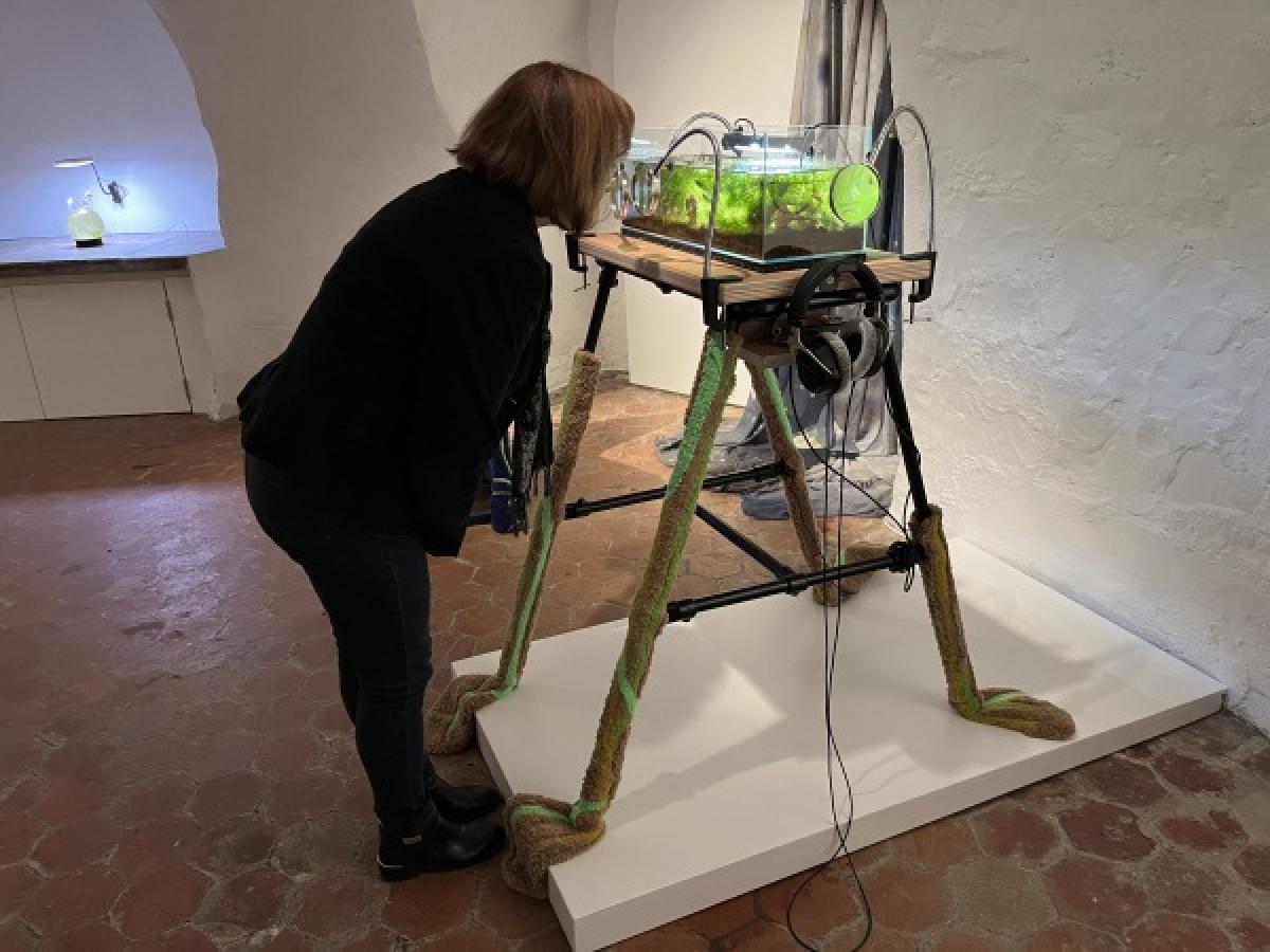 exposition la crypte d'Orsay, 2025