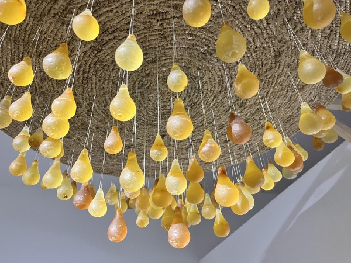 Portés par le vent, exposition la MucMA