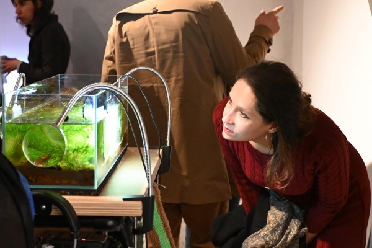 exposition la crypte d'Orsay, 2025