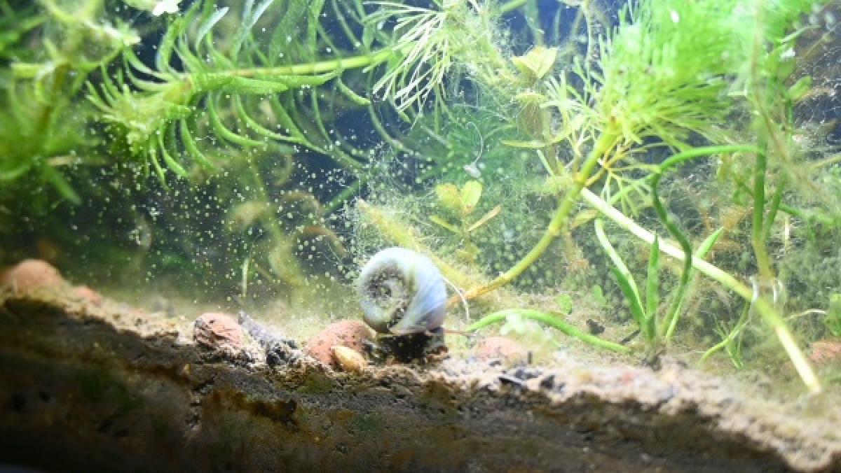 exposition la crypte d'Orsay, 2025