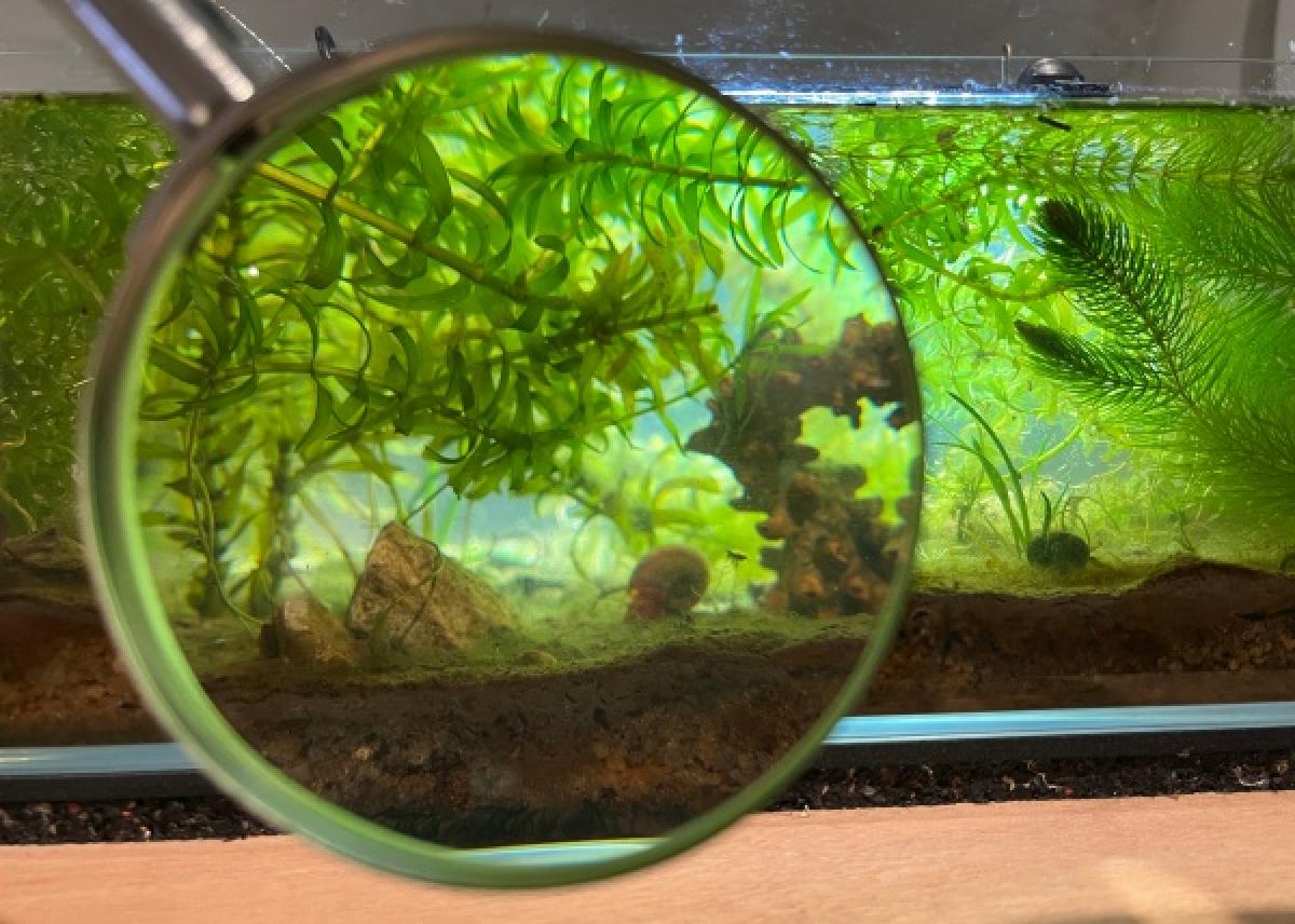 exposition la crypte d'Orsay, 2025