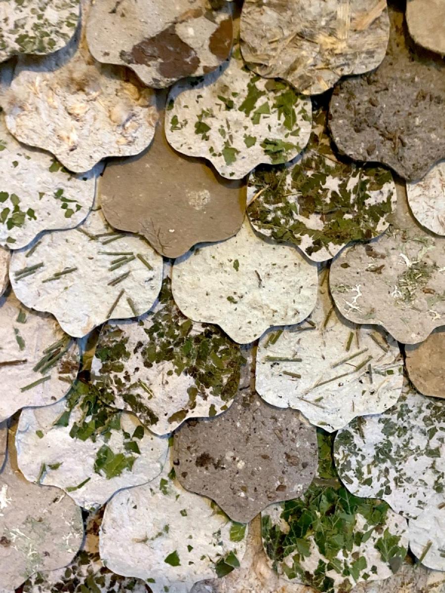 la peau du chemin, détail