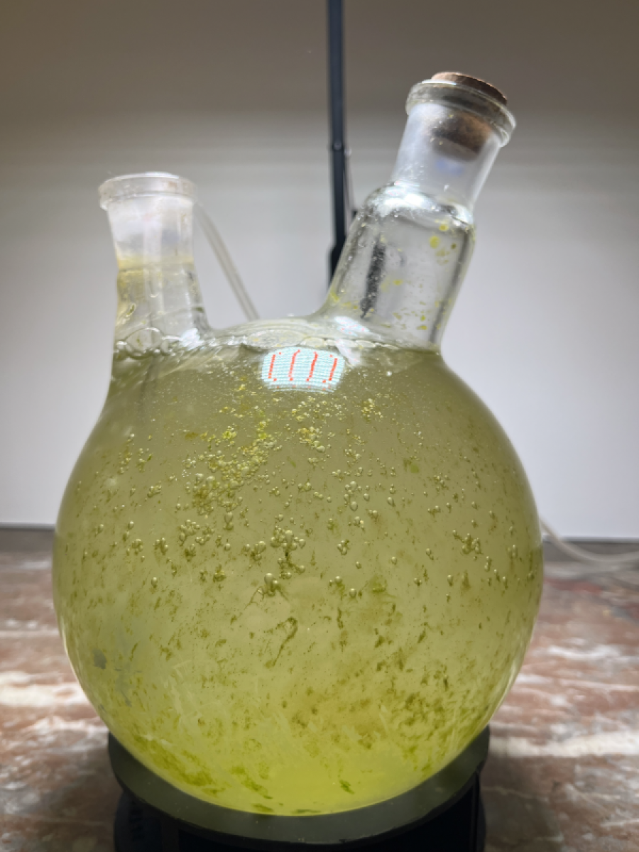 exposition la crypte d'Orsay, 2025