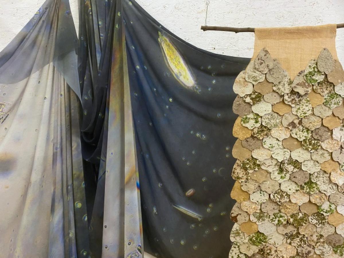 avec la peau du chemin